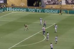 开云体育官方网站-马竞连续获胜，客场轻取埃瓦尔零封对手