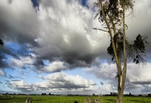 开云平台-日本血洗勒沃库森,哈兰德爆发神勇——足球夜的传奇瞬间