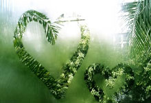 开云平台-日本血洗勒沃库森,哈兰德爆发神勇——足球夜的传奇瞬间