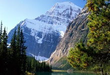 开云平台-日本血洗勒沃库森,哈兰德爆发神勇——足球夜的传奇瞬间