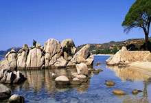 开云平台-日本血洗勒沃库森,哈兰德爆发神勇——足球夜的传奇瞬间