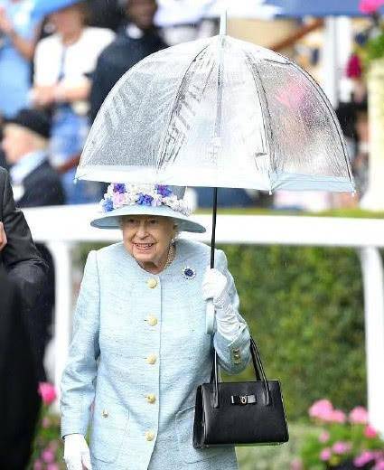 葡萄牙女足决赛引燃热度：人气飙升的简单介绍
